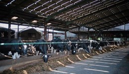 Webinar: Finding the best shed ventilation solutions